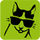 visite de chat