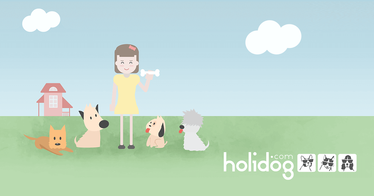 Holidog Mon Compte