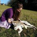 https://fr.holidog.com/ImagesPetSitters/003129B4-3E47-4B8B-932F-80A362C2DDD2_square_120.jpg Mille-et-une-pattes-pet-sitting-222046-0