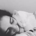 L'amour-aux-animaux-342126-0