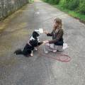 https://fr.holidog.com/ImagesPetSitters/0103E3C3-7651-4D7B-830D-5712A7300469_square_120.jpg -Pet-Sitter-de-Confiance--527579-3