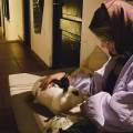 Complice-de-vos-animaux-1150199-3