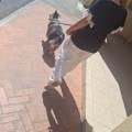 https://fr.holidog.com/ImagesPetSitters/01A44818-1762-4015-AFBD-644B3E59BB6C_square_120.jpg Pet-sitter-attentionnée-1191109-1