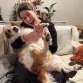 Petsitter-pour-vos-petits-protégés-1060847-3