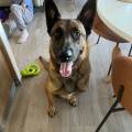 Nounou-responsable-et-disponible-1112105-2