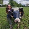 Les-animaux-fantastiques-1117113-2