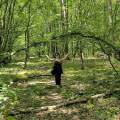 Amoureuse-d’animaux-en-tout-genre-1161781-2