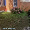 DOG-Island-751475-3