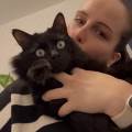 Garde-d'animaux-469724-0