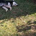 Couple-Sitter-1114722-3