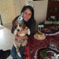 https://fr.holidog.com/ImagesPetSitters/12161263-1590-4669-8BA9-C88F9CDA0467_square_120.jpg Une-amoureuse-des-chiens-436110-0