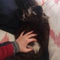De-l'affection-et-du-sur-mesure-1161485-0