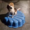https://fr.holidog.com/ImagesPetSitters/1233012A-5907-4E89-A4EA-8D05C22EBB57_square_120.jpg 1058499-1
