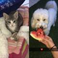 https://fr.holidog.com/ImagesPetSitters/141385B6-6F8A-4708-919D-2ABE672ED557_square_120.jpg Amoureuse-des-animaux--502407-0