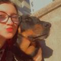 petsitter stranger