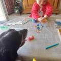 https://fr.holidog.com/ImagesPetSitters/14874EAD-FFE3-4125-8F24-26197CAACA10_square_120.jpg 1052174-0