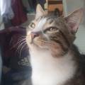 https://fr.holidog.com/ImagesPetSitters/15DAE265-21E5-4EC4-B357-1294BA4E9BA0_square_120.jpg Amie-des-bêtes-à-dispo-!-🐾-1064135-1