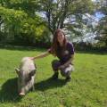 Les-animaux-fantastiques-1117113-0