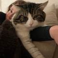 Lise-veille-sur-vos-animaux--1065457-0