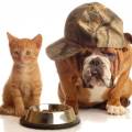 https://fr.holidog.com/ImagesPetSitters/1B622F26-9283-4124-B896-A8A06CE78BCA_square_120.jpg Amoureuse-des-animaux-334133-0