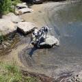 https://fr.holidog.com/ImagesPetSitters/1CA2CCA1-C814-4578-B63A-926E633F3E71_square_120.jpg 470821-1