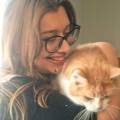 petsitter stranger