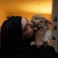 petsitter stranger