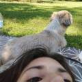 petsitter stranger
