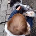 https://fr.holidog.com/ImagesPetSitters/20F4425E-95FC-4B68-BBE6-F2A5C8A4521D_square_120.jpg 1052174-1