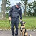 Kyl'-garde-canin-1091190-3