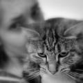 https://fr.holidog.com/ImagesPetSitters/2574778A-68BD-43A2-A8C8-CB2E81995BDA_square_120.jpg I-love-dogscats&others-266999-1