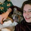 petsitter stranger