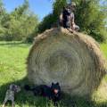 https://fr.holidog.com/ImagesPetSitters/296ADACB-9E77-4A5F-A293-9C965030D676_square_120.jpg Pet-sitter-cool,-sérieux-avec-eux-!-1049802-0