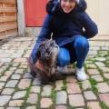 Pet's-world-1083779-1
