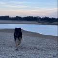 https://fr.holidog.com/ImagesPetSitters/2EA0B0FE-3F42-40AA-B210-B444814856BA_square_120.jpg Je-prends-soin-de-vos-loulous-!-1021567-1