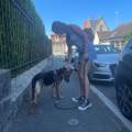 https://fr.holidog.com/ImagesPetSitters/2EA4FD7E-C541-4356-86BA-FDA1B6181A3F_square_120.jpg Petsitter-depuis-plus-de-5ans-!-616430-0