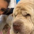 https://fr.holidog.com/ImagesPetSitters/2FCC544E-A0BE-4D46-B32A-DD01003287D5_square_120.jpg Dog-sitter-douce-et-attentionnée-1084955-1