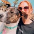 petsitter stranger