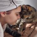 https://fr.holidog.com/ImagesPetSitters/30AF857F-8DE5-46AE-875E-941BB4DE80A0_square_120.jpg De-l'amour-et-du-jeu-garantis-894718-0