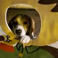 https://fr.holidog.com/ImagesPetSitters/31587A4D-818D-4429-944F-EAC79E51FAAA_square_120.jpg 1058499-2