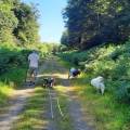 https://fr.holidog.com/ImagesPetSitters/31698C20-7A24-4268-9300-F13A3ED487EA_square_120.jpg K-Bot-pet-sitting-1084474-1