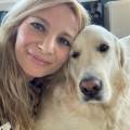 Nounou-pour-vos-animaux-651702-0