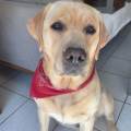 https://fr.holidog.com/ImagesPetSitters/355CBFAB-0AD6-4207-8132-234E2C7D6482_square_120.jpg 1064261-3