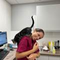 Garde-de-chiens-et-chats-1048708-3