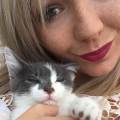 Pet-love-337600-1
