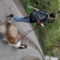 https://fr.holidog.com/ImagesPetSitters/36CD402B-F1F2-429E-9C79-8457CB9F3A4C_square_120.jpg Vacances-canines--1068852-1