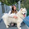 https://fr.holidog.com/ImagesPetSitters/374BD4BC-89BE-4FBC-9C4D-3532CAF4AA09_square_120.jpg Chez-Juliette,-Thomas-ET-Luna-🐶-1116184-1