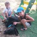 Au-service-de-vos-animaux-1157337-1