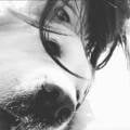 https://fr.holidog.com/ImagesPetSitters/3974D96E-1B0B-410D-B620-87251AD6991B_square_120.jpg Garde-d'animaux--1085783-2