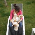 Par-amour-des-animaux-87345-1